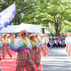 2026_07_19_sinnmatudomaturi141