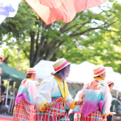 2026_07_19_sinnmatudomaturi143