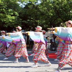 2026_07_19_sinnmatudomaturi170