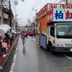 2025_yosakoimaturi_jikatasya003