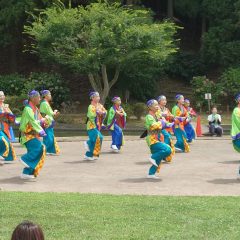 よさこい柏紅塾