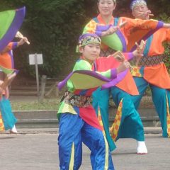 よさこい柏紅塾
