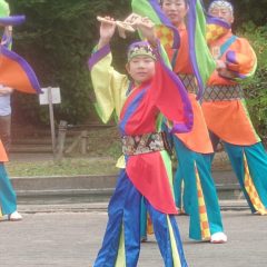 よさこい柏紅塾