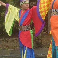 よさこい柏紅塾