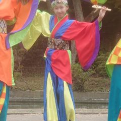 よさこい柏紅塾