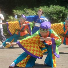よさこい柏紅塾