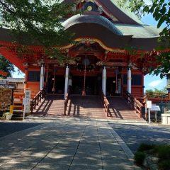 よさこい柏紅塾