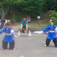 心羽流