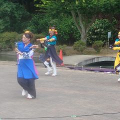 心羽流