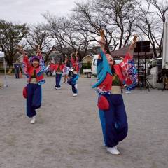 2025_10_19_shiinokidai-autumn-festival016