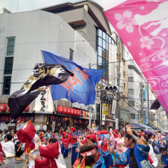 2024_07_28_yosakoibreak_ranbu001