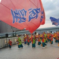 ドリーム夜さ来い祭り
