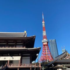 2023_01_29_dreamyosakoikouyasai003