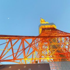 2023_01_29_dreamyosakoikouyasai019