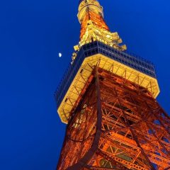 2023_01_29_dreamyosakoikouyasai021