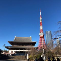 2023_01_29_dreamyosakoikouyasai033