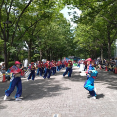 2024_08_25_harajyuku_NHK049