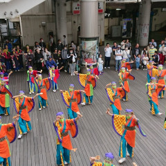 2023_05_03_kashiwashiminfesta_012
