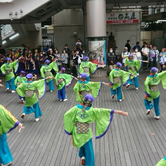 2023_05_03_kashiwashiminfesta_047