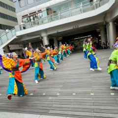 2024_0519_kashiwashiminfesta015