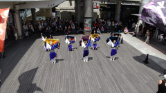 2022-kashiwa-shimin-katudou-festa003-scaled