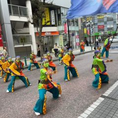 2023_03_21pokapoka028