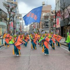 2023_03_21pokapoka048