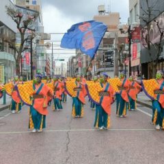 2023_03_21pokapoka054