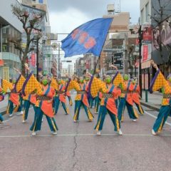 2023_03_21pokapoka055
