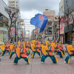 2023_03_21pokapoka056