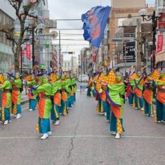 2023_03_21pokapoka063