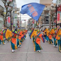 2023_03_21pokapoka065
