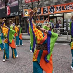 2023_03_21pokapoka088