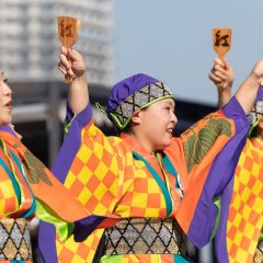 2022_11_06_dreamyosakoi026