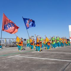2022_11_06_dreamyosakoi035