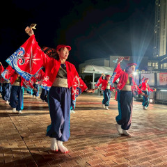 2025_11_0242nd_dream-yosakoi017