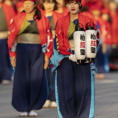 2025_11_0242nd_dream-yosakoi_oto002