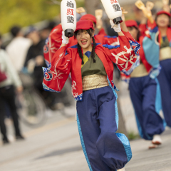 2025_11_0242nd_dream-yosakoi_oto006