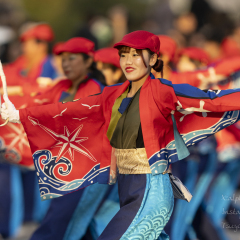 2025_11_0242nd_dream-yosakoi_oto009