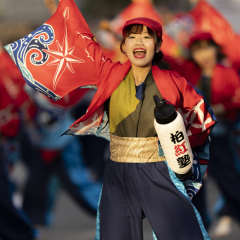 2025_11_0242nd_dream-yosakoi_oto016