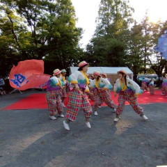 2026_07_19_sinnmatudomaturi033
