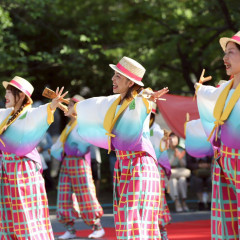 2026_07_19_sinnmatudomaturi167