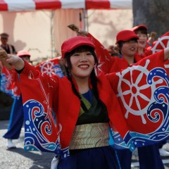 2025_03_30_tokiwadairasakuramaturi_Oshi024