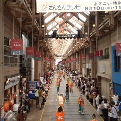 第70回よさこい祭り