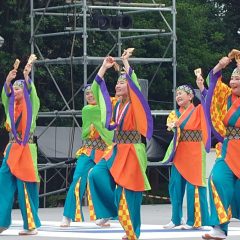第70回よさこい祭り