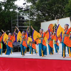 第70回よさこい祭り