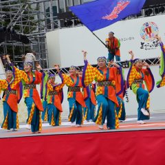 第70回よさこい祭り