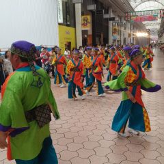 第70回よさこい祭り