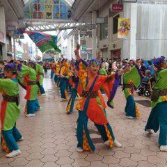 第70回よさこい祭り