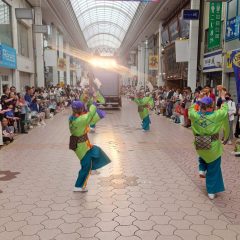 第70回よさこい祭り